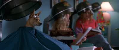 And the purpose of diminished capacity is? - Legally Blonde