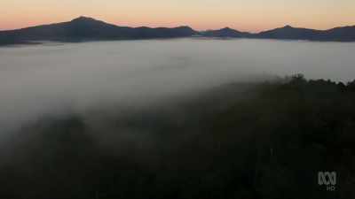 And the rain that supports
these tiny glow-worms - David Attenborough's Tasmania