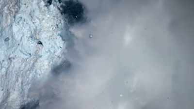 And the rate of loss is accelerating. - Our Planet