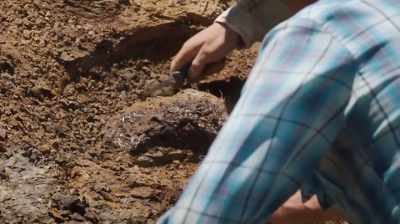 AND THE REASON WHY IT'S STILL
HOTLY DEBATED - Dino Hunters