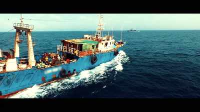 And the same syndicates
that are behind illegal fishing - Seaspiracy