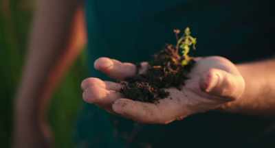 And when the soils were depletedon the East Coast, - The Pollinators