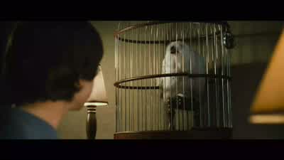 And the thing about Hedwig is we had trained several owls. - Harry Potter and the Chamber of Secrets