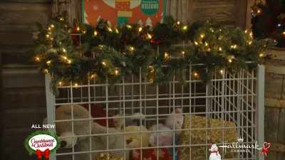 - And the toy drive,
is that all you? - Christmas by Starlight