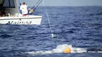 And the tunas,
once we get over 'em, - Deadliest Catch: Bloodline