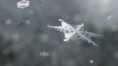 ...and the water droplets they carry
turn into snow. - Frozen Planet II