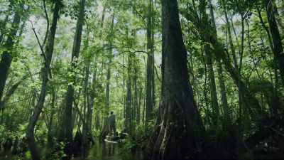 And the water
is what defines this place, - Path of the Panther