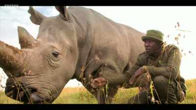And their plight awaits
one million more species. - Extinction: The Facts