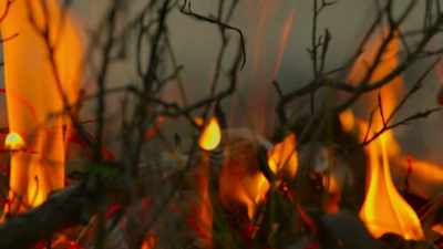 And their volatile chemicals
fuel the flames. - Tiny World