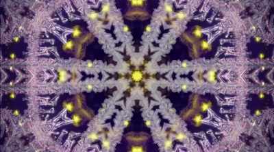 And then
all these geometrical fractals - Fantastic Fungi