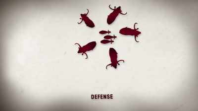 And then circle them
with their horns facing out. - United States of Animals