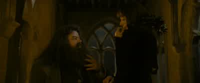And then he died just when I started school. - Harry Potter and the Goblet of Fire