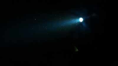 And then emerging
from the gloom, - Lost Treasures of the Maya