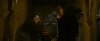And then he died just when I started school, so... - Harry Potter and the Goblet of Fire