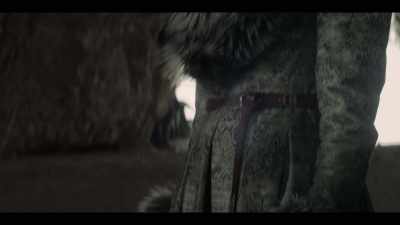 And then we heard
about the King's hunt, - The Witcher