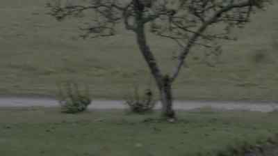And then he's surprised
as hell when SIU shows up - The Bridge