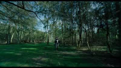 And then I heard a crack. - The Favourite