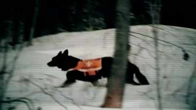 - And then when I saw the
next report, she had been - The Disappearance of Maura Murray