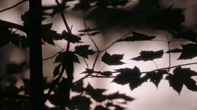 And then, in the early '80s, - Into the Fire: The Lost Daughter