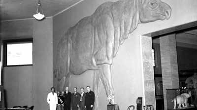 And then it's got a neck
like a giraffe, - Tales From The Explorers Club