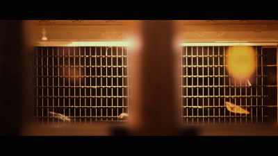 And then, later, she proceeds to go down
to the lobby and does… - Crime Scene: The Vanishing at the Cecil Hotel