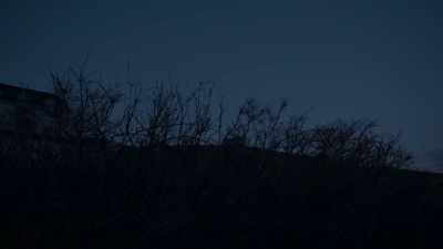 And then left the body where it was. - Sophie: A Murder in West Cork