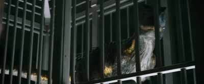 And then once locked on, - Jurassic World: Fallen Kingdom
