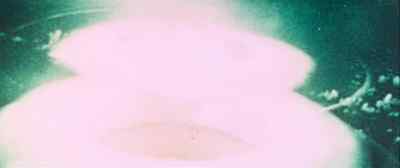 AND THEN ONE DAY, - No Blade of Grass