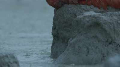 And then... it rains. - Planet Earth III