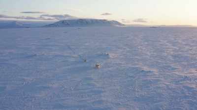 And then, - Frozen Planet II