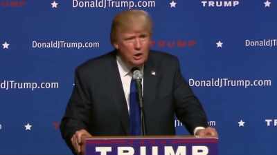 And then they say, you
can't build a wall. - Trump: The Art of the Insult