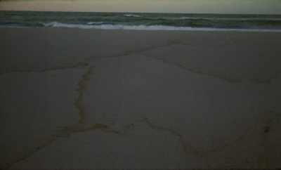 And then you see a mare
suckling a foal - Geographies of Solitude