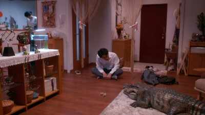 And then, soon after, - When I Get Home, My Wife Always Pretends to be Dead