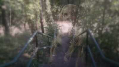 And then, we started talking
about the things I would see. - Extraordinary: The Seeding