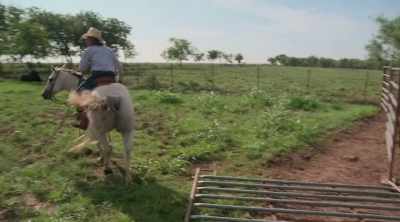 And then the corner over here, - How to Be a Cowboy