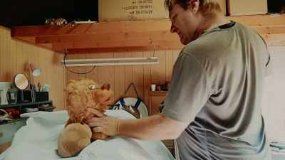 And then Tiggy goes to there, - Teddiscare