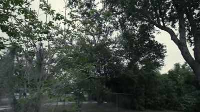 And then she took me to a park, - Floribama Murders