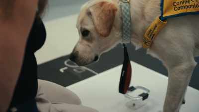 And then we're trying to use
what we learn to train them better - Inside the Mind of a Dog