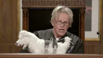 And then,
when the dog comes home - Gary Busey: Pet Judge