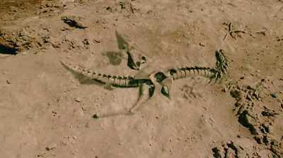 AND THEN WHILE
IT'S IN THE GROUND, - Dino Hunters