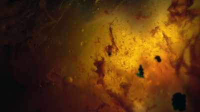 And then if you mix
organic molecules inside, - One Strange Rock