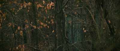 And there was a community area, - The Mothman Legacy