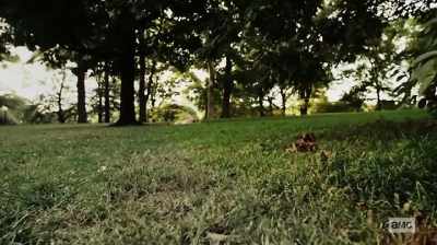 And there was a young woman
under a tree. - The Preppy Murder: Death in Central Park