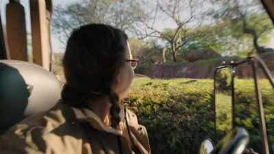 And there they go. All right.
That's my lion soap opera. - Magic of Disney's Animal Kingdom