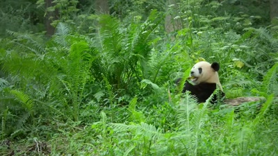 And there, in that pond,
is where the party is. - A Year on Planet Earth