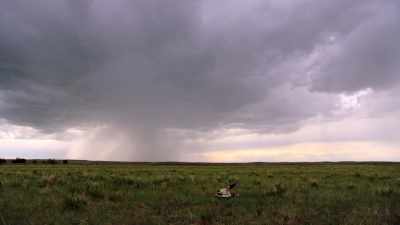 And there settled over
them a vast quiet... - The American Buffalo