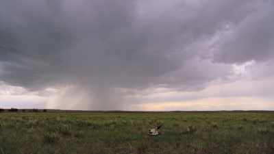 "And there settled over them - The American Buffalo