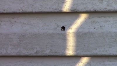 And so there was some damage
to that bullet. - Killers: Caught on Camera