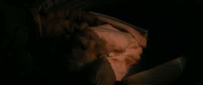 And there was this shivering, tiny, little thing. - Finch