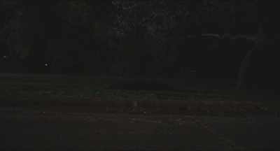 And there you, alright. - Blood Relatives
